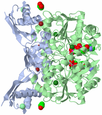 Image Biological Unit 1