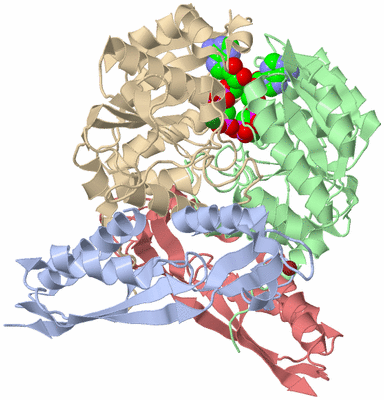 Image Asym./Biol. Unit