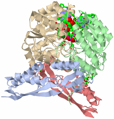 Image Asym./Biol. Unit - sites