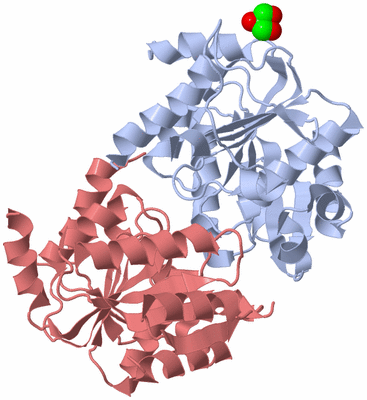 Image Biological Unit 1