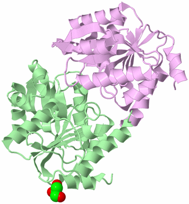 Image Biological Unit 2