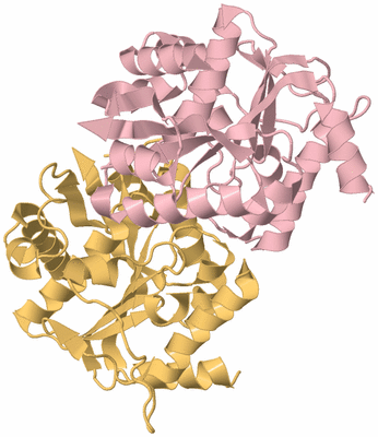 Image Biological Unit 3