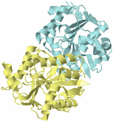 Image Biological Unit 4