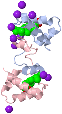 Image Biological Unit 1