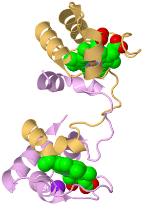 Image Biological Unit 2