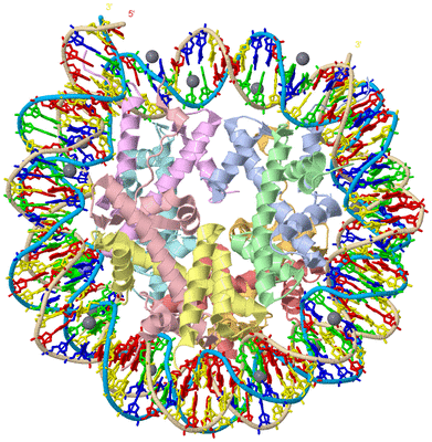 Image Asym./Biol. Unit