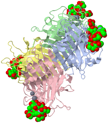 Image Biological Unit 1