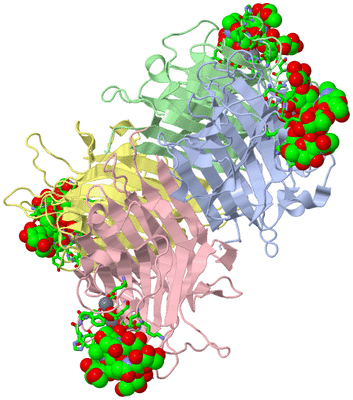 Image Biol. Unit 1 - sites