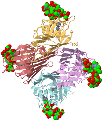 Image Biological Unit 2