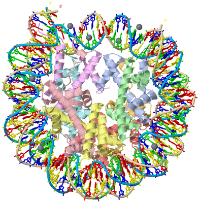 Image Asym./Biol. Unit