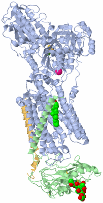 Image Asym./Biol. Unit