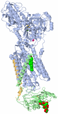 Image Asym./Biol. Unit