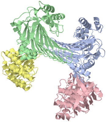 Image Biological Unit 1