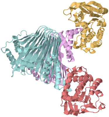 Image Biological Unit 2