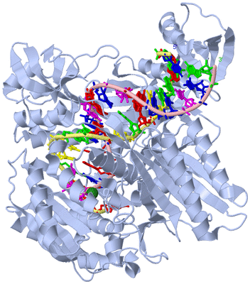 Image Biological Unit 1