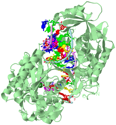 Image Biological Unit 2