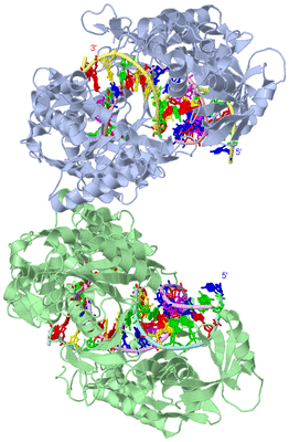 Image Asym. Unit - sites