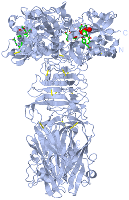 Image Biol. Unit 1 - sites