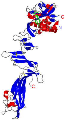 Image Asym. Unit - sites