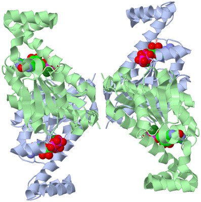 Image Biological Unit 1