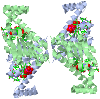 Image Biol. Unit 1 - sites