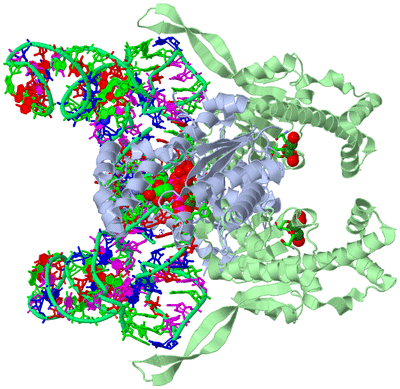 Image Biol. Unit 1 - sites