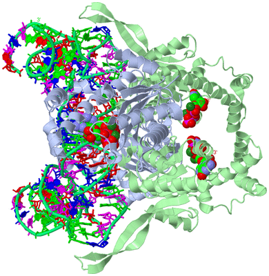 Image Biological Unit 1