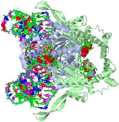 Image Biol. Unit 1 - sites