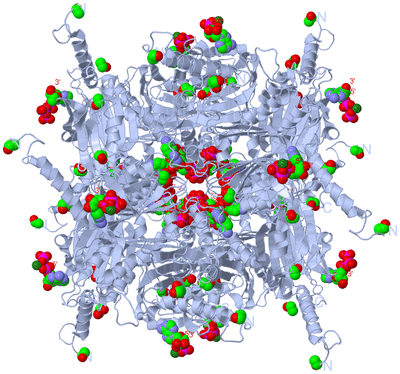 Image Biological Unit 1