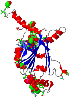 Image Asym. Unit - sites