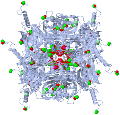 Image Biological Unit 1