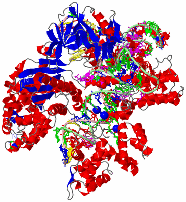 Image Asym./Biol. Unit - sites