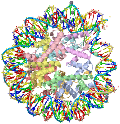 Image Asym./Biol. Unit