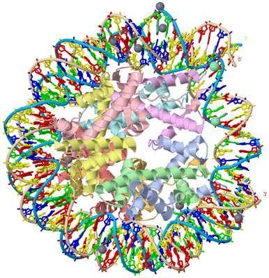 Image Asym./Biol. Unit - sites