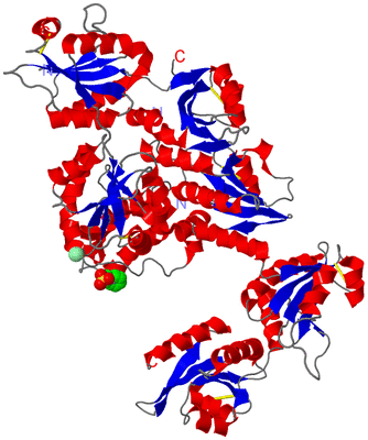 Image Asym./Biol. Unit