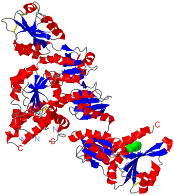 Image Asym./Biol. Unit