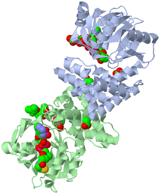 Image Asym./Biol. Unit