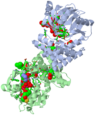 Image Asym./Biol. Unit - sites