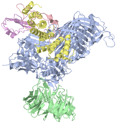 Image Asym./Biol. Unit