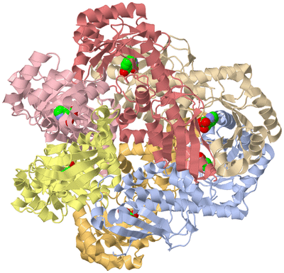 Image Biological Unit 1