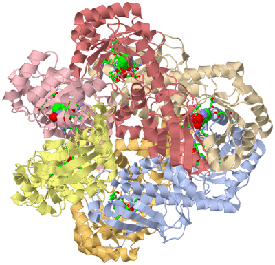 Image Biol. Unit 1 - sites