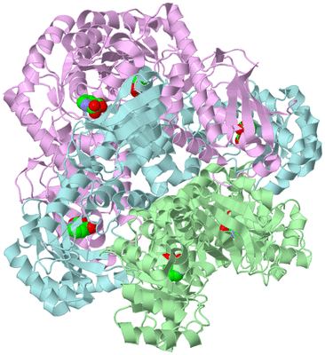 Image Biological Unit 2