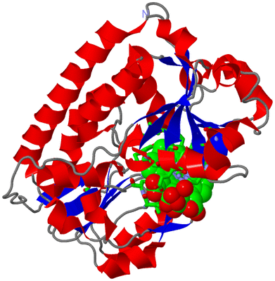 Image Asym./Biol. Unit - sites