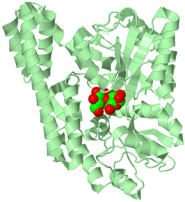 Image Biological Unit 1