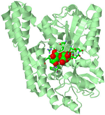 Image Biol. Unit 1 - sites