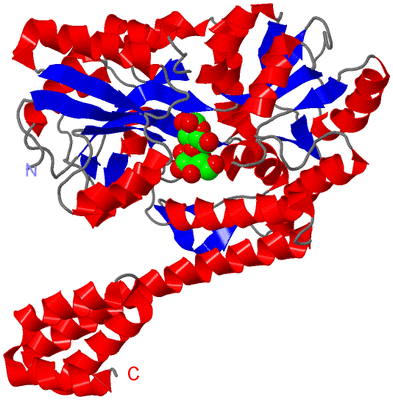 Image Asym./Biol. Unit