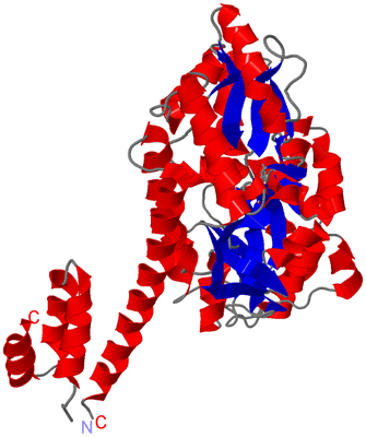 Image Asym./Biol. Unit