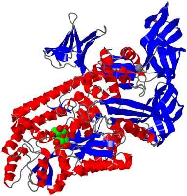 Image Asym./Biol. Unit