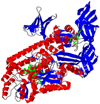 Image Asym./Biol. Unit - sites