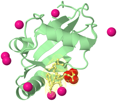 Image Biological Unit 2